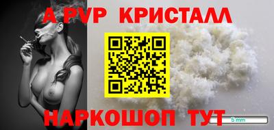 СК Владимир