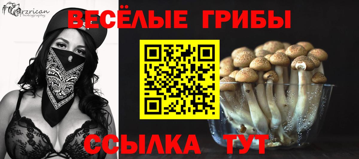 Псилоцибиновые грибы Cubensis Великий Устюг
