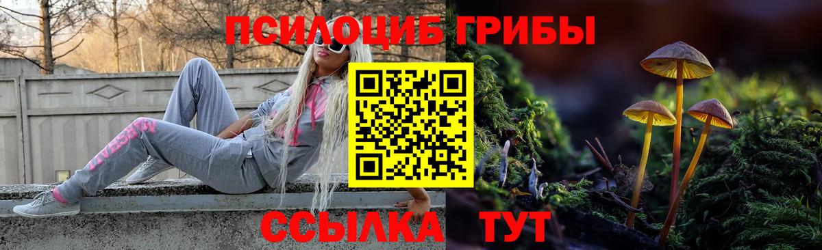 Галлюциногенные грибы мицелий  Вход с VPN  Великий Устюг  Псилоцибиновые грибы Cubensis 