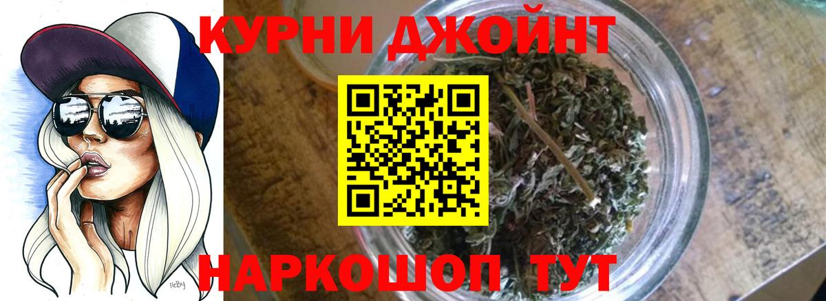 Великий Устюг  Каннабис сатива  Конопля сатива  Вход с VPN  Каннабис план  Марихуана тримм 